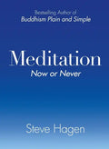 Meditation Now or Never - Paperback
