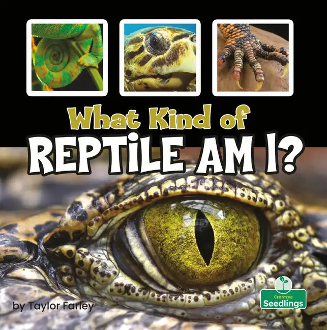 What Kind of Reptile Am I? - Paperback