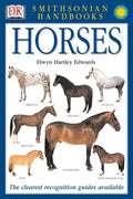 Horses - Paperback