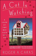 Cat Is Watching - Paperback