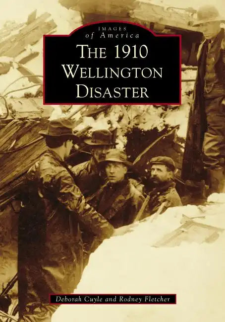 The 1910 Wellington Disaster - Paperback