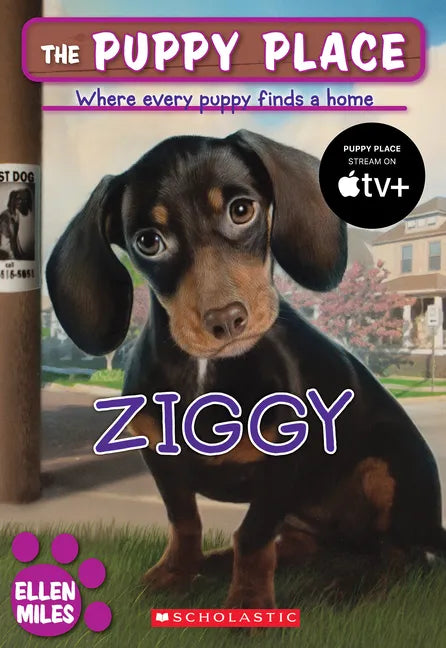 Ziggy (the Puppy Place #21) - Paperback