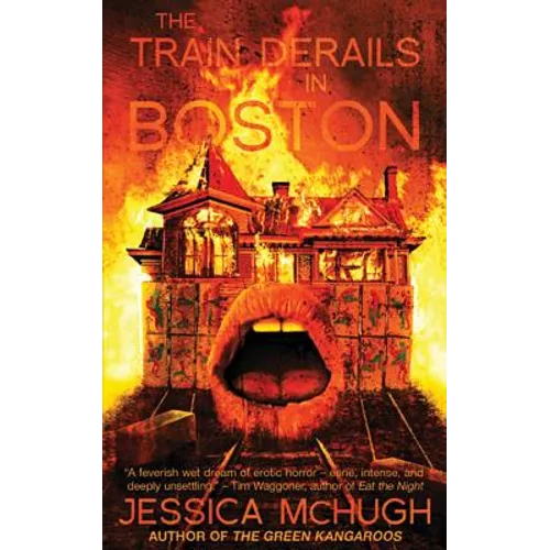 The Train Derails in Boston - Paperback
