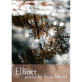 Elliott - Paperback