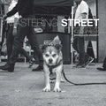 Mastering Street Photography - Paperback