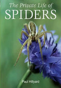 The Private Life of Spiders - Paperback