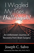 I Wiggled My Toes ... Hallelujah!: An Unforeseen Journey of Recovery from Brain Surgery - Paperback