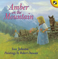 Amber on the Mountain - Paperback