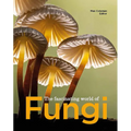 The Fascinating World of Fungi - Paperback