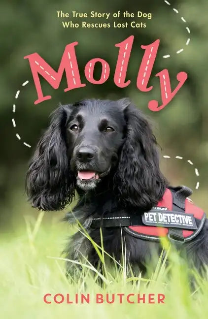 Molly: The True Story of the Dog Who Rescues Lost Cats - Paperback