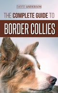 The Complete Guide to Border Collies: Training, teaching, feeding, raising, and loving your new Border Collie puppy - Hardcover