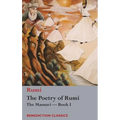 The Poetry of Rumi: The Masnavi -- Book I - Hardcover