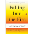 Falling Into the Fire: A Psychiatrist's Encounters with the Mind in Crisis - Paperback