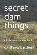 secret dam things: a little coulee poetry book - Paperback