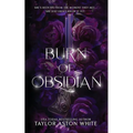 Burn of Obsidian Special Edition: A Dark Paranormal Romance - Paperback