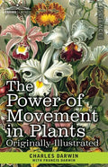 The Power of Movement in Plants: Originally Illustrated - Paperback