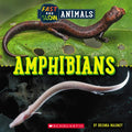 Amphibians (Wild World: Fast and Slow Animals) - Paperback