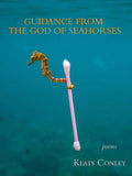 Guidance from the God of Seahorses - Paperback