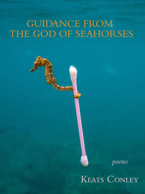 Guidance from the God of Seahorses - Paperback