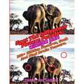 Spot The Difference Picture Puzzles: Wildlife Fun.: 150+ Hidden Picrures, Seek And Find Brain Teasers. - Paperback