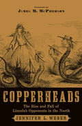 Copperheads: The Rise and Fall of Lincoln's Opponents in the North - Paperback