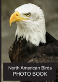 North American Birds Photo Book: 40 Different Bird Photos With Identification Names For Alzheimer & Dementia Patients To Help With Memories and Memory - Paperback