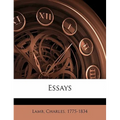 Essays - Paperback
