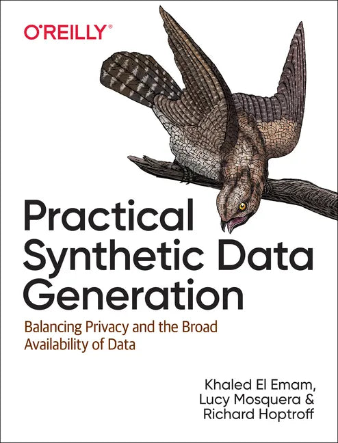 Practical Synthetic Data Generation: Balancing Privacy and the Broad Availability of Data - Paperback