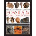 The Illustrated Guide to Fossils & Fossil Collecting: A Reference Guide to Over 375 Plant and Animal Fossils from Around the Globe and How to Identify - Hardcover