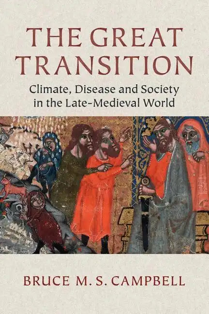 The Great Transition - Paperback