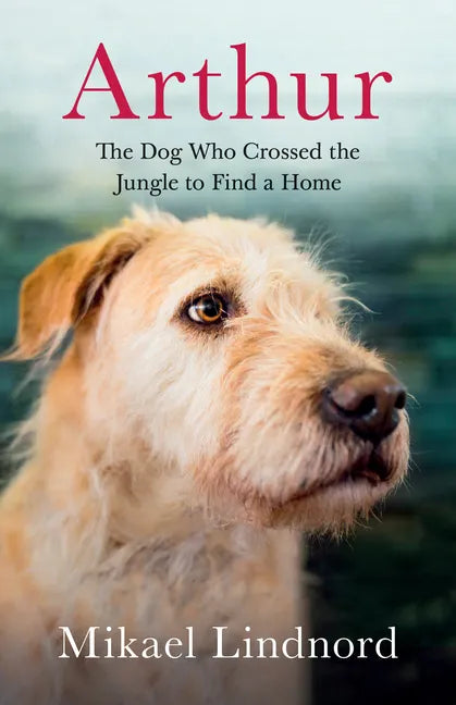 Arthur: The Dog Who Crossed the Jungle to Find a Home - Paperback