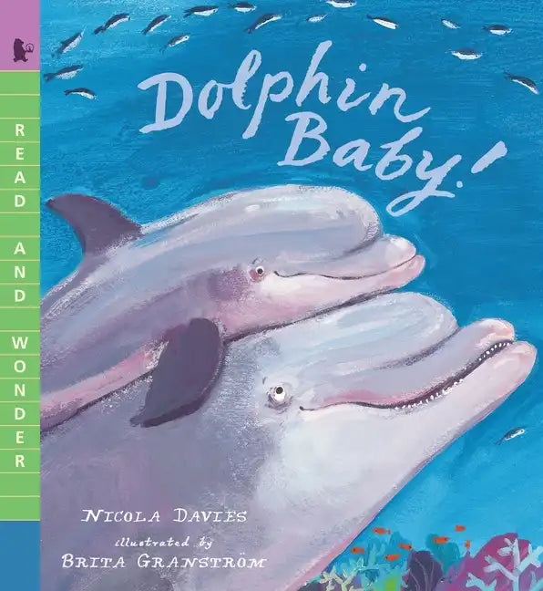 Dolphin Baby!: Read and Wonder - Paperback