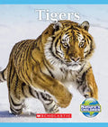 Tigers (Nature's Children) - Paperback