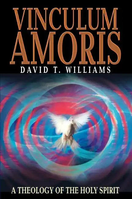 Vinculum Amoris: A Theology of the Holy Spirit - Paperback