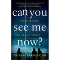 Can You See Me Now? - Paperback