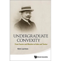 Undergraduate Convexity: From Fourier and Motzkin to Kuhn and Tucker - Paperback