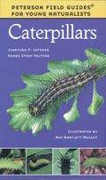 Caterpillars - Paperback