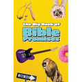 The Big Book of Bible Promises - Paperback