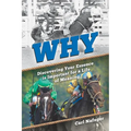 Why: Discovering Your Essence Is Important for a Life of Meaning - Paperback