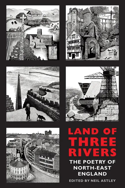 Land of Three Rivers: The Poetry of North-East England - Paperback