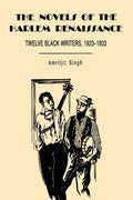 The Novels of the Harlem Renaissance: Twelve Black Writers, 1923-1933 - Paperback