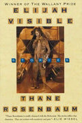 Elijah Visible: Stories - Paperback