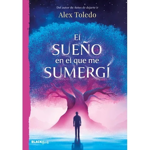 El Sueño En El Que Me Sumergí / The Dream I Was Immersed in - Paperback