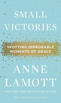 Small Victories: Spotting Improbable Moments of Grace - Hardcover