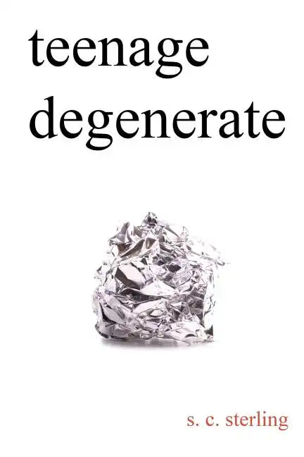 Teenage Degenerate: A Memoir that Explores the Depths of Methamphetamine and Drug Addiction - Paperback
