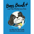 Boss Bandit and the Mysterious Hole - Paperback
