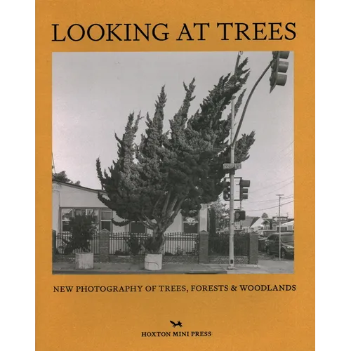 Looking at Trees: New Photography of Trees, Forests and Woodlands - Hardcover