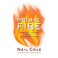 Primal Fire: Reigniting the Church with the Five Gifts of Jesus - Paperback