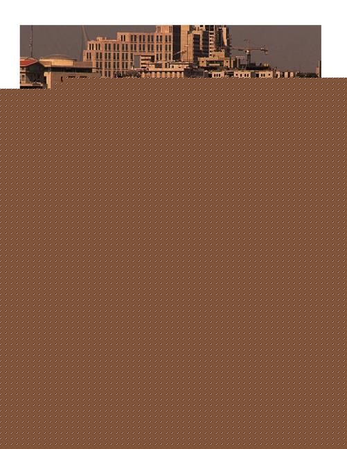 The Partition of the British Mandate of Palestine: The History and Legacy of the United Nations Partition Plan and the Creation of the State of Israel - Paperback