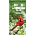 North Carolina Birds - Paperback